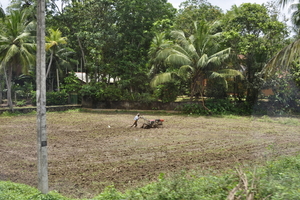 _DSC0060