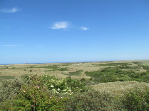 Dag2 Ameland07