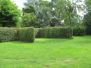 Terrein tentplaatsen