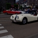 Leop (56)