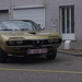 Leop (66)