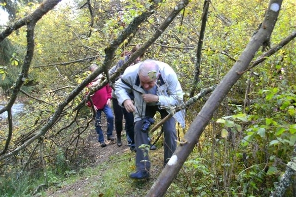 opwandelzaterdag13