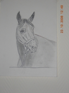 schets