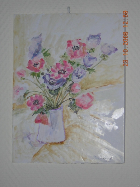 DSCN2462