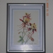 DSCN2466