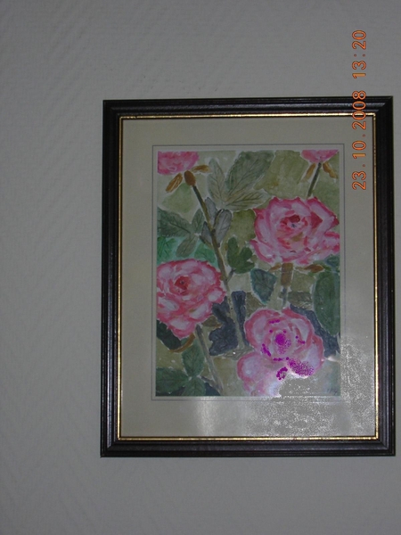 DSCN2478