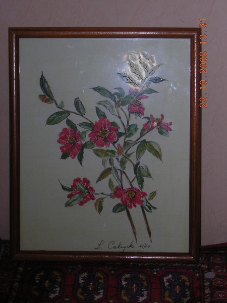 DSCN2486