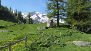 Zicht op de Mont Blanc