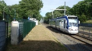 4036 - 23.06.2017 in Zoetermeer.