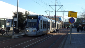 4065-19, Leidschendam  07.01.2018 Weigelia