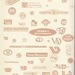 Logo's van V & D