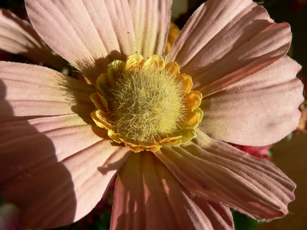 24-08 015