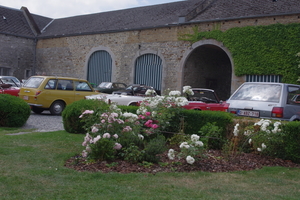 IMGP3074