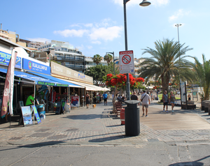 2025-06-22 10_09_25-IMG_3561.JPG - IrfanView (Zoom_ 1320 x 880)