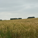 DSC_2805