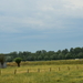 DSC_2873