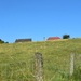 DSC_3048