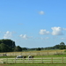 DSC_3058