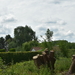 DSC_3173