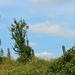 DSC_3178