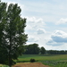 DSC_3193