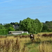 DSC_3254
