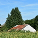 DSC_3260