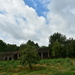 DSC_3606