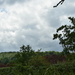 DSC_3655