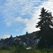 DSC_3836