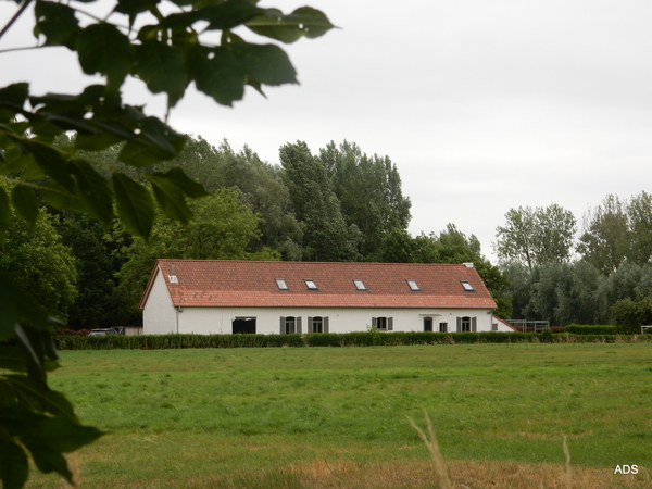 09-DSCN4814
