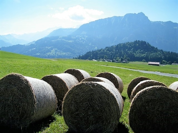 2017_06_19 Leysin 037