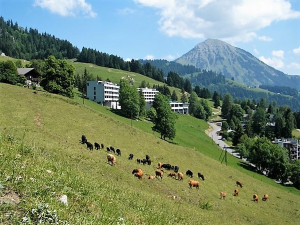 2017_06_19 Leysin 060