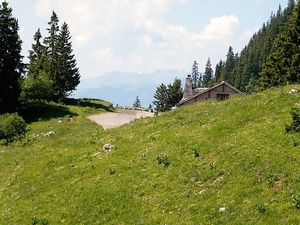 2017_06_20 Leysin 058