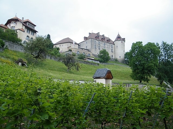 2017_06_24 Leysin 077