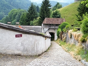 2017_06_24 Leysin 088