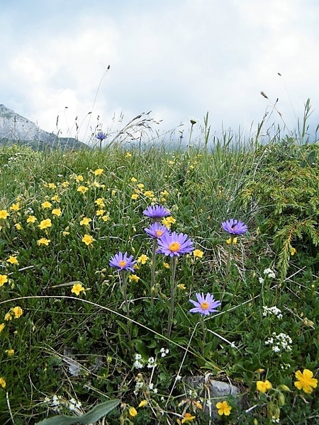 2017_06_25 Leysin 023