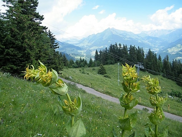 2017_06_25 Leysin 050