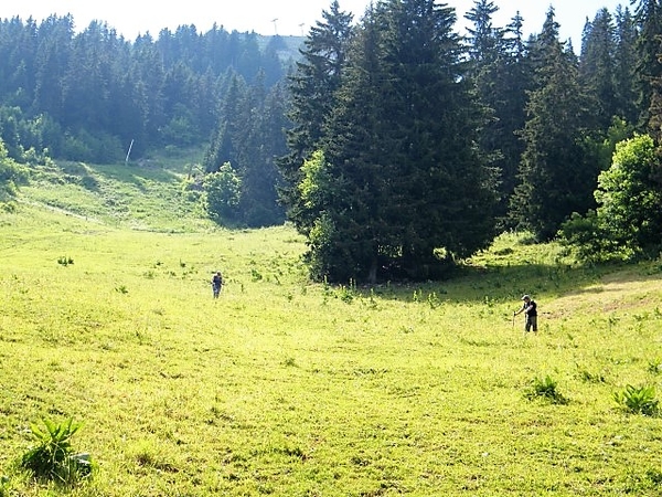 2017_06_25 Leysin 064