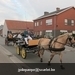 IMG_2615 (Small)
