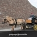 IMG_2623 (Small)