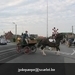 IMG_2624 (Small)