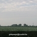 IMG_2627 (Small)