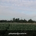 IMG_2634 (Small)