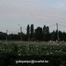IMG_2635 (Small)