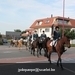 IMG_2641 (Small)