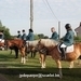 IMG_2651 (Small)
