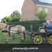 IMG_2661 (Small)