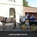 IMG_2699 (Small)