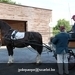 IMG_2700 (Small)
